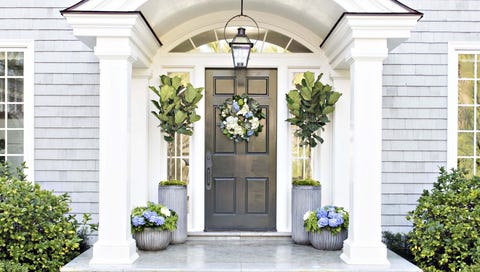 How To Keep A Fiddle Leaf Fig Tree Alive Plant How To Keep A Fiddle Leaf Fig Tree Alive Without Losing Your Mind