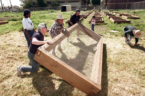 Raised Garden Bed Plans Diy