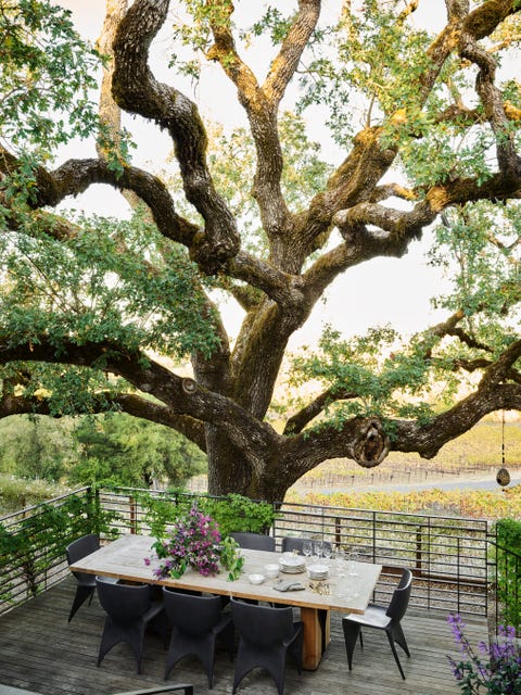 a coastal live oak shades an ipe dining deck overlooking the vineyards and forged steel and glass railings preserve the view