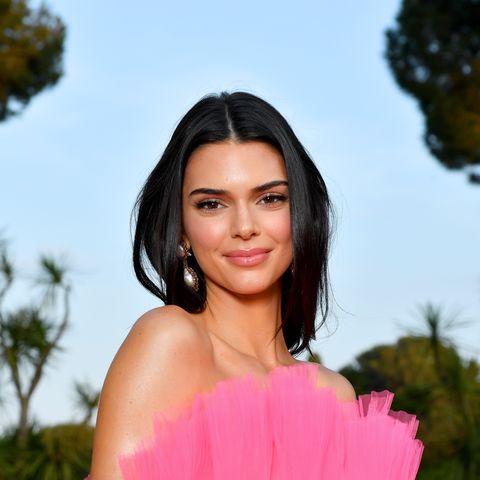 Kendall Jenner Picture: Dua Lipa And Kendall Jenner Look Alike