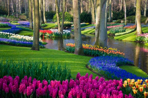 8 Beautiful Virtual Garden Tours To Enjoy While In Isolation - Claude Monet Garden Virtual Tour 8 Beautiful Virtual Garden Tours To Enjoy While In Isolation - Claude Monet Garden Virtual Tour
