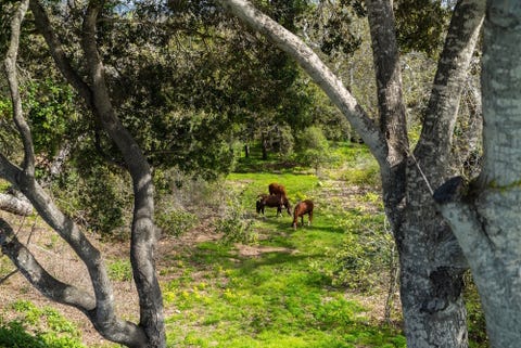 Kevin Costner's Home Is For Sale - Carpinteria, CA