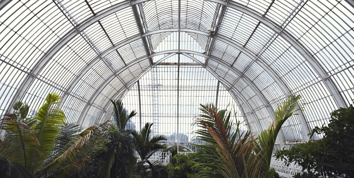 Kew Gardens is The Most Instagrammable Botanical Garden