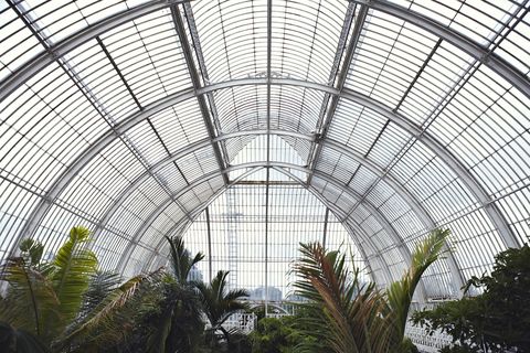 kew's impressive glasshouse, which is the ﻿world's largest surviving victorian era glasshouse