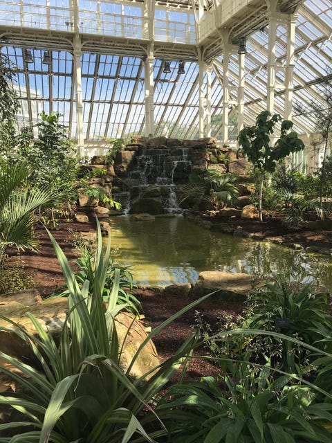 Kew Gardens London - Inside The Newly-Restored Temperate House