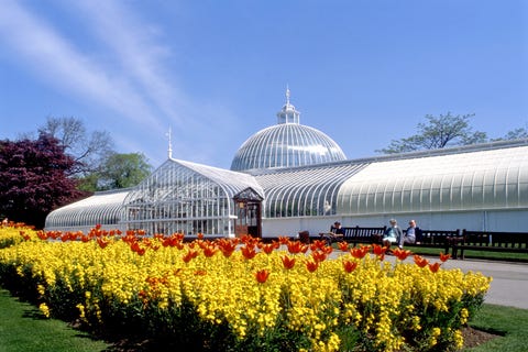 kibble palace and glasgow botanic gardens, glasgow, scotland