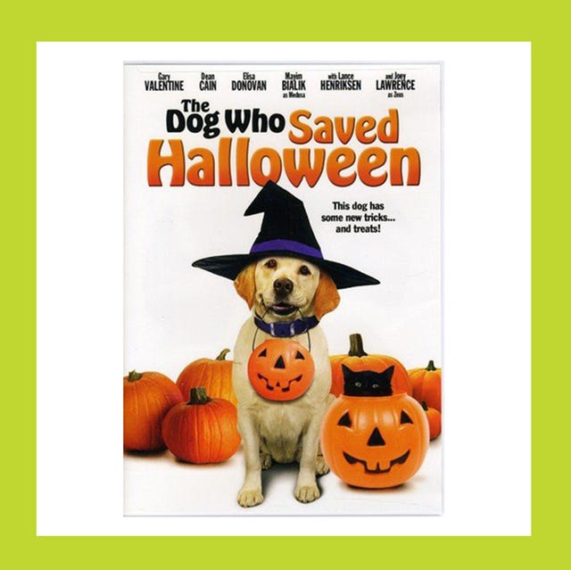 44 Top Photos Family Halloween Movies On Youtube / The Best Halloween Movies For Kids On Netflix 2020 Popsugar Family