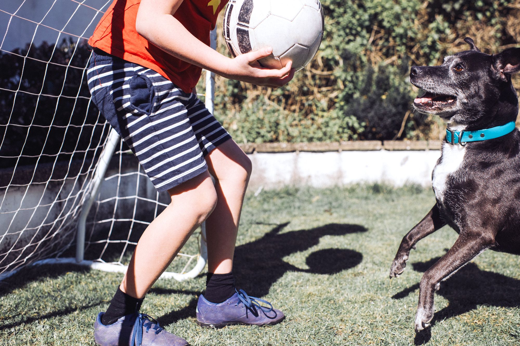 soccer pillows target