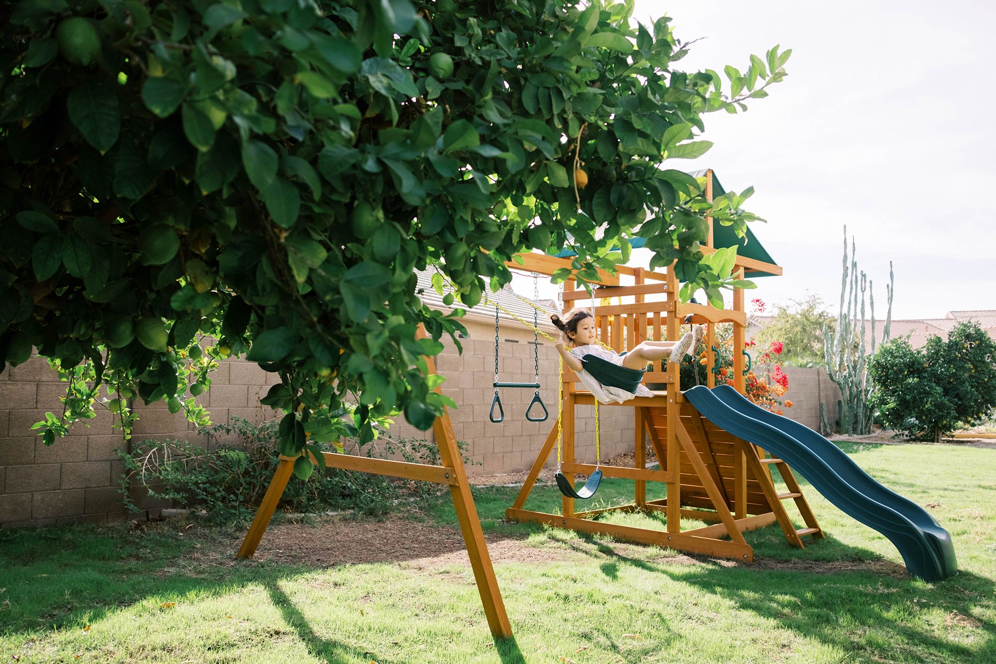 swing set in backyard