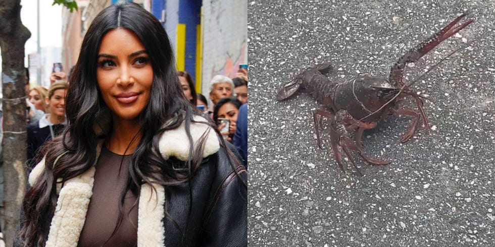 Kim Kardashian Found a Lobster Walking Down Her Street and Twitter Can't Handle It