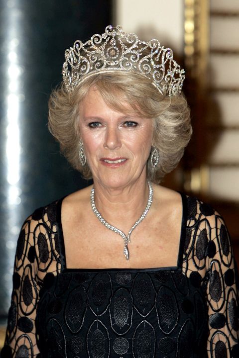 19 Photos of Camilla, Duchess of Cornwall, Sparkling in Diamonds