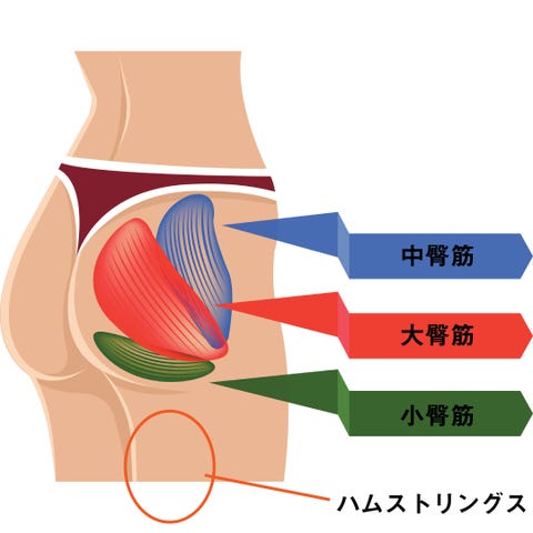 動画あり 垂れ尻を鍛えてヒップアップ お尻の筋トレ方法11選 動画あり 垂れ尻を鍛えてヒップアップ お尻の筋トレ方法11選