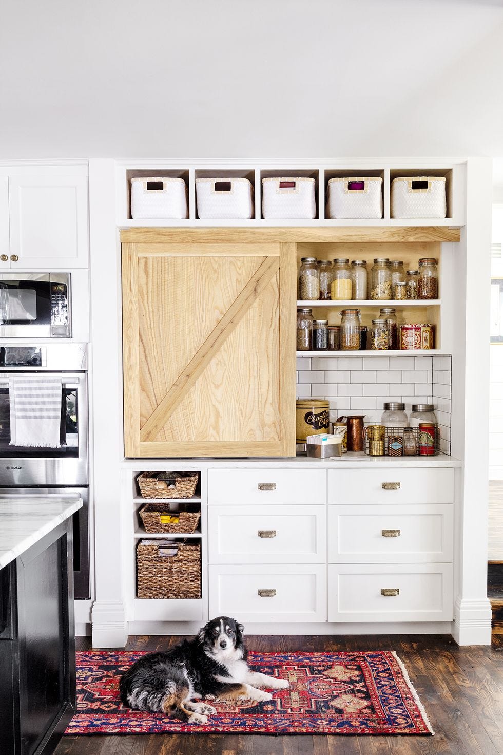 how do i dog proof my kitchen cabinets