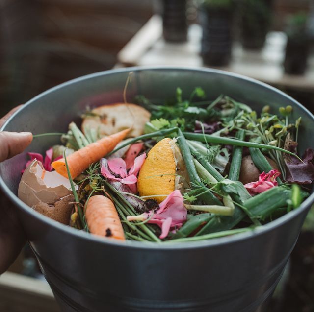 vegetables scraps in a bucket