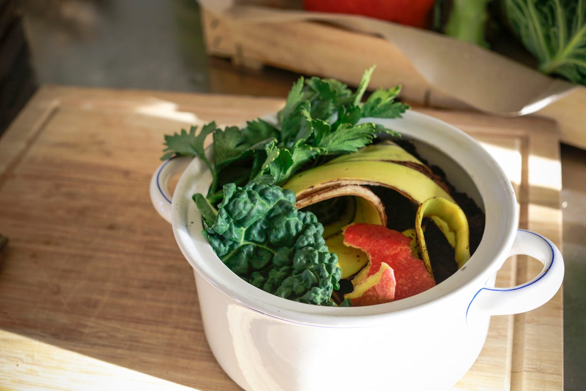 How To Compost At Home Best Indoor Composter Bins