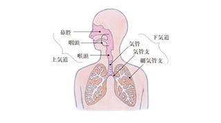 法 息苦しい 対処