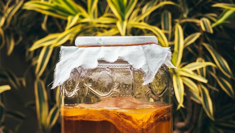 コンブチャ の正体は 紅茶キノコの健康効果を専門家が解説