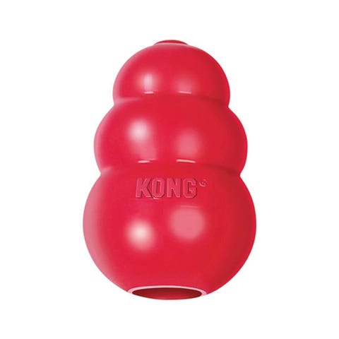 things to put in kong dog toys