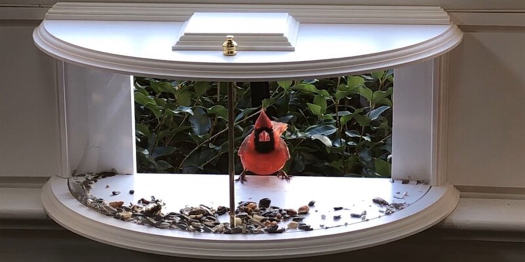 Krick View Window Tray Bird Feeder, Two Way Mirror Window Bird Feeder