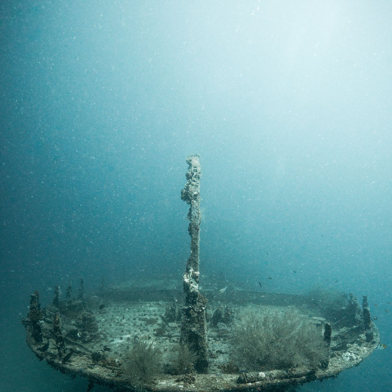 A Father and Daughter Went Fishing—and Accidentally Discovered a 152-Year-Old Shipwreck