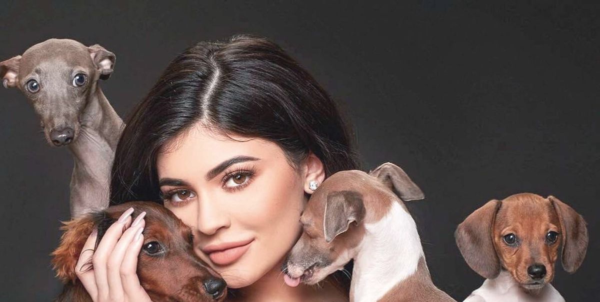Kylie Jenner dresses her dogs as 'Toy Story' characters