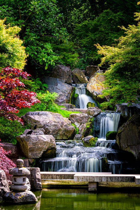 waterfall long exposure vertical view with maple trees in kyoto japanese green garden in holland park green summer zen lake pond water in london, uk