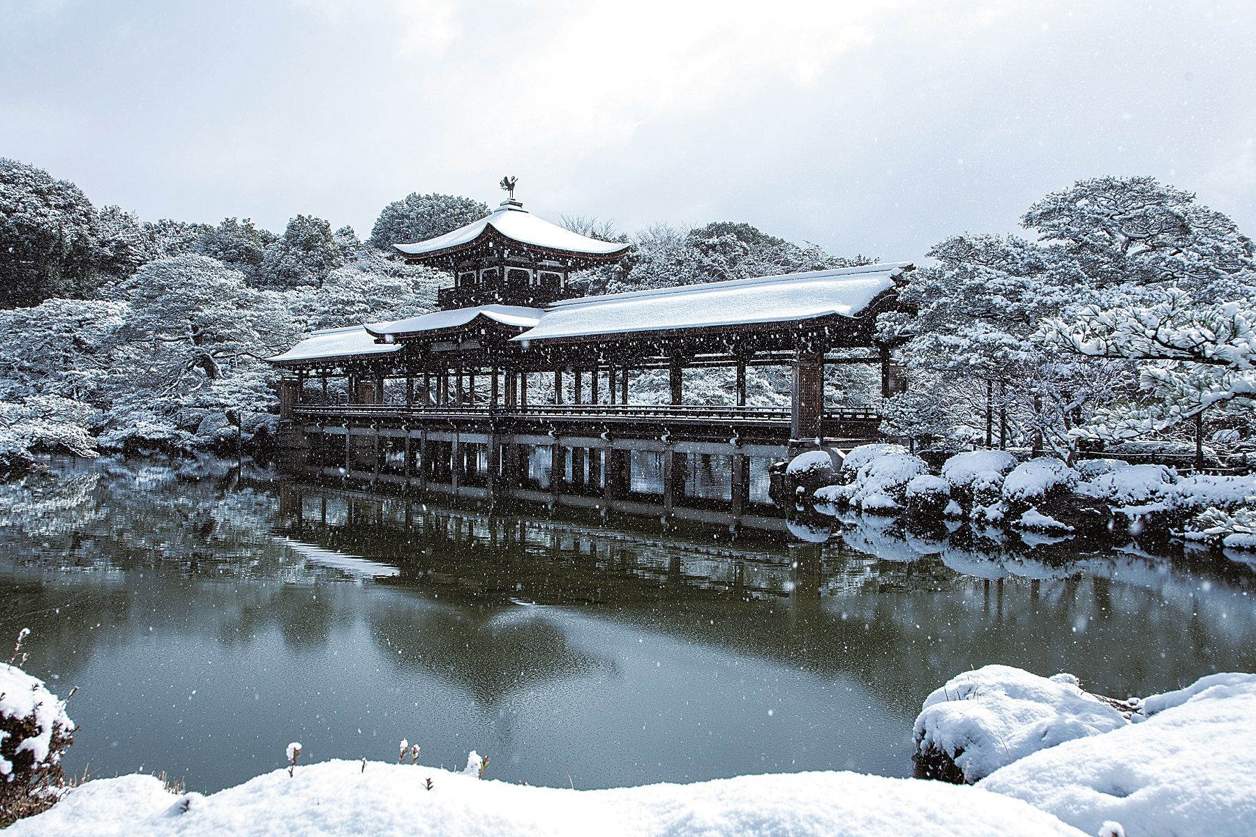 京都在住の写真家 中田昭さんが案内 絶景の雪景色と撮影スポット5選