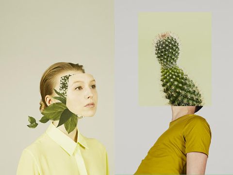 Human, Yellow, Hairstyle, Green, Style, Adaptation, Neck, Produce, Makeover, Painting, 