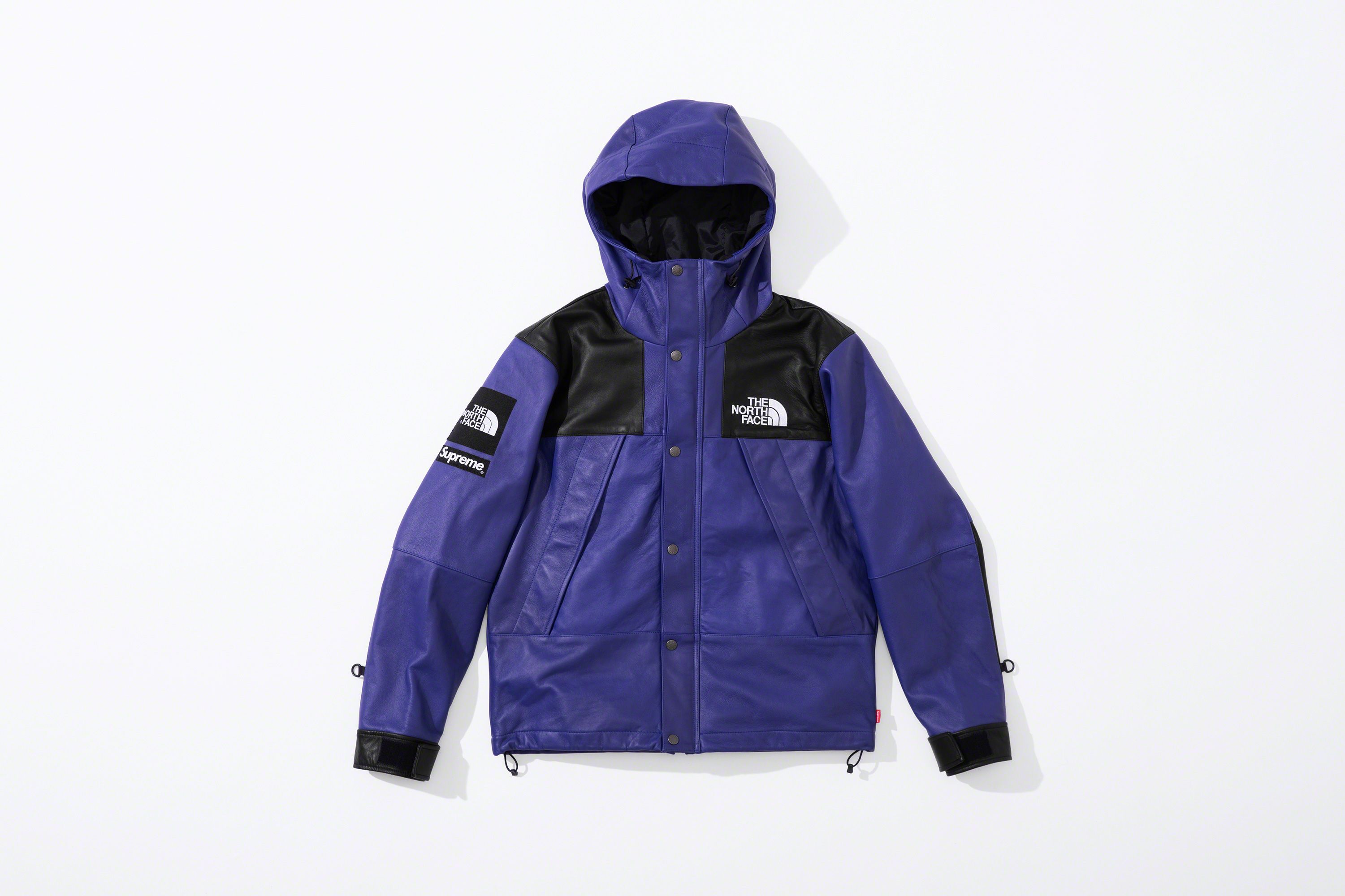 supreme north face leather mountain parka