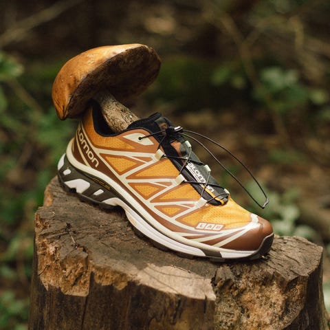 a pair of end x salomon xt 6 porcini shoes on a log