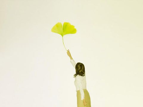 Yellow, Leaf, People in nature, Plant stem, 