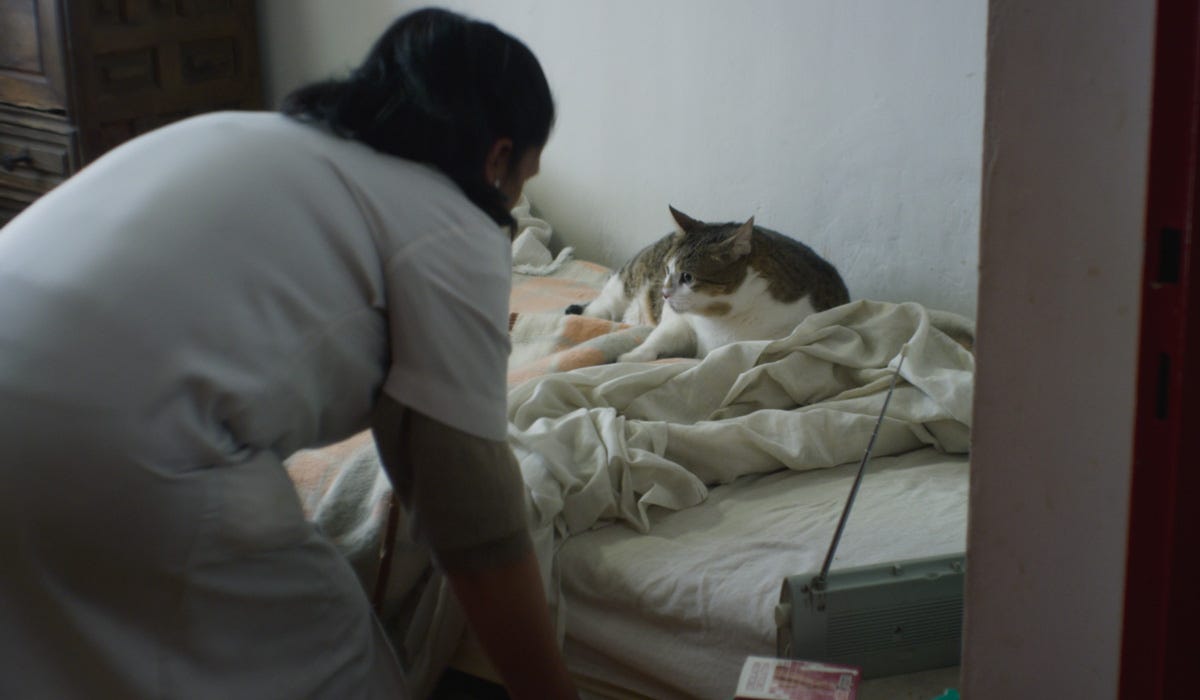 The 15 best auteur films of 2022 in Spanish