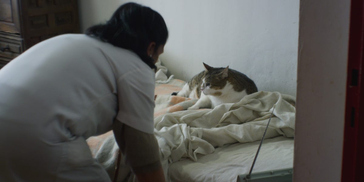 The 15 best auteur films of 2022 in Spanish The 15 best auteur films of 2022 in Spanish