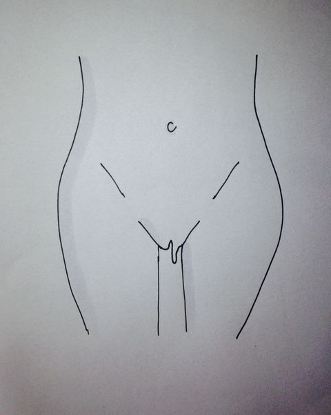 labia, normal vagina, vulva