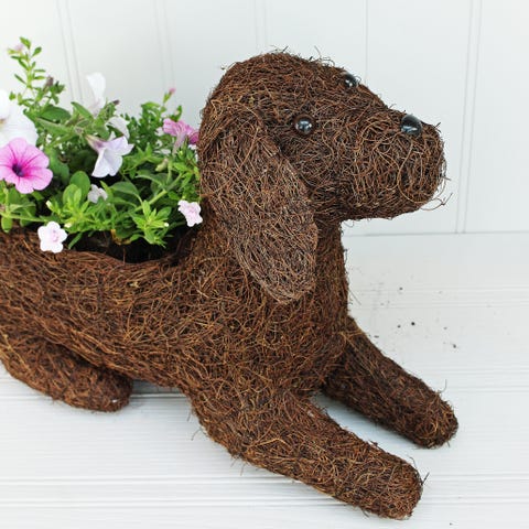 Labrador Puppy Planter