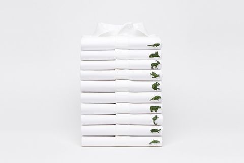 Lacoste endangered species polo shirts
