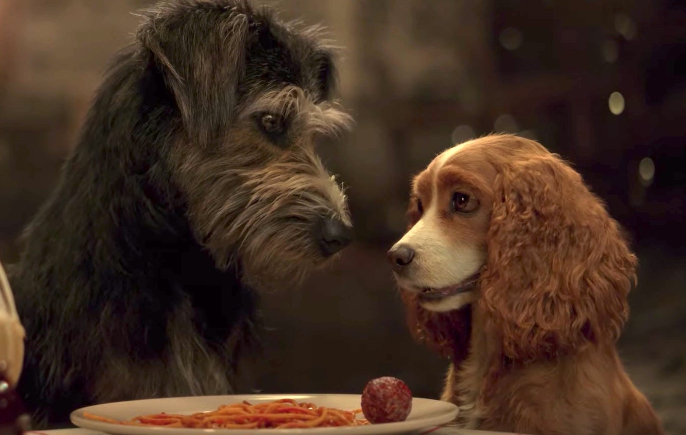 What Types Of Dogs Are In Lady And The Tramp