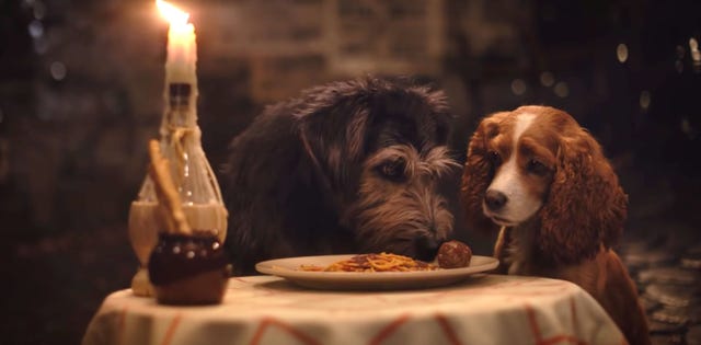 The Trailer for Disney’s Live-Action 'Lady and the Tramp' Is All I Need This Tuesday