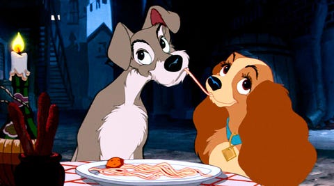 lady and the tramp dogs