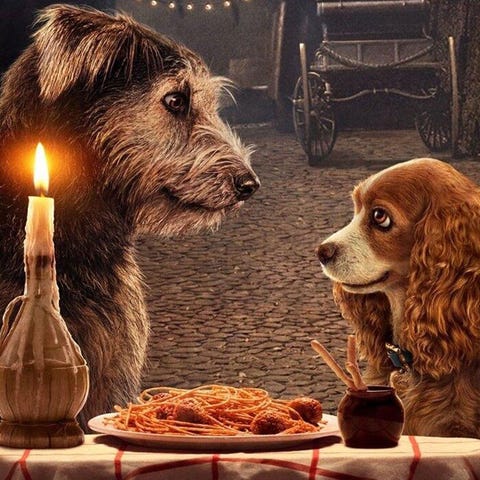 lady and the tramp disney plus lady and the tramp disney plus