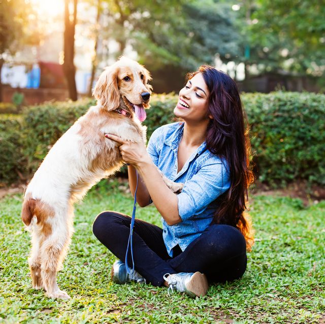 6 things you should already be doing if you’re an eco conscious dog owner