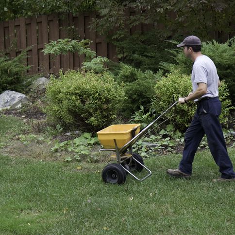 The 8 Best Fertilizer and Seed Spreaders for Your Lawn and Garden