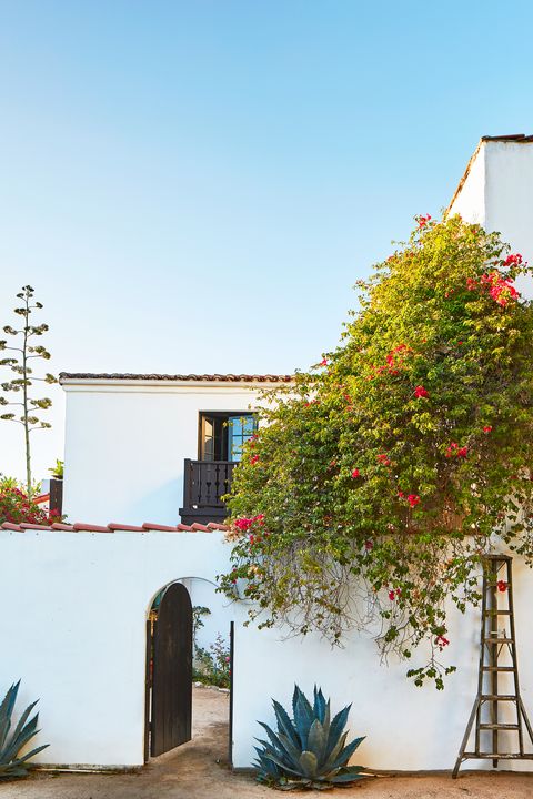 spanish style home with cactus