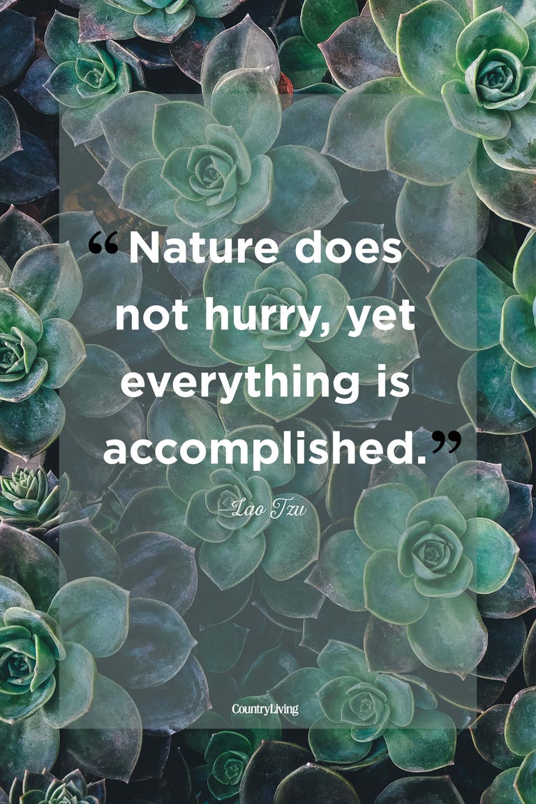 25 Best Nature Quotes - Inspirational Sayings About Nature