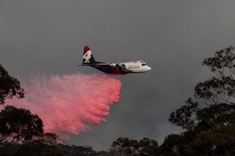 11 of the Largest Cargo Planes in the Sky