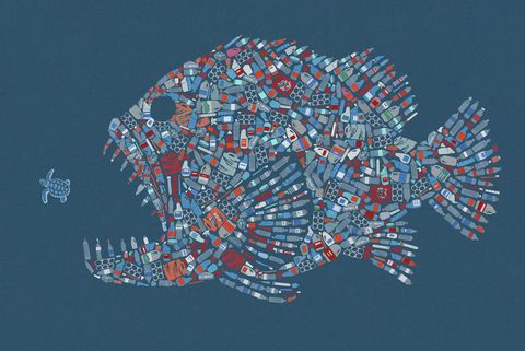 Large fish formed from plastic waste in the sea