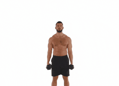 肩幅を広くしたい 男らしい 大きな肩 を作る上腕二頭筋 三頭筋の筋トレ方法