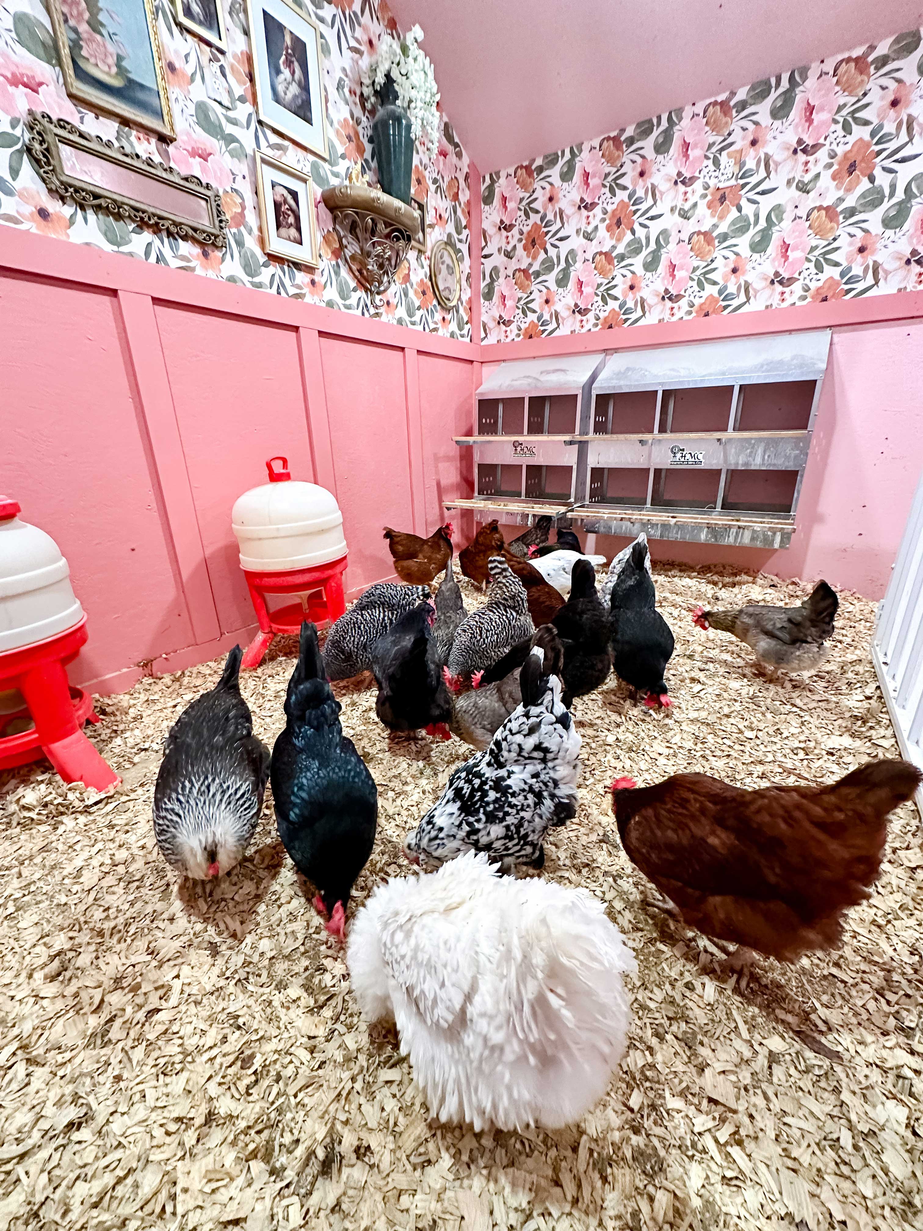 You Will Not Believe This Over-the-Top Texas Chicken Coop