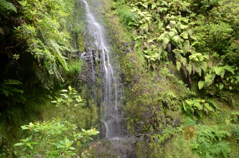 Nature Lovers Can Enjoy A Walking Holiday In Madeira For Just £196