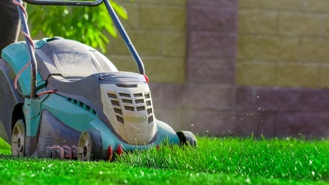 Lawn mower cutting green grass in backyard